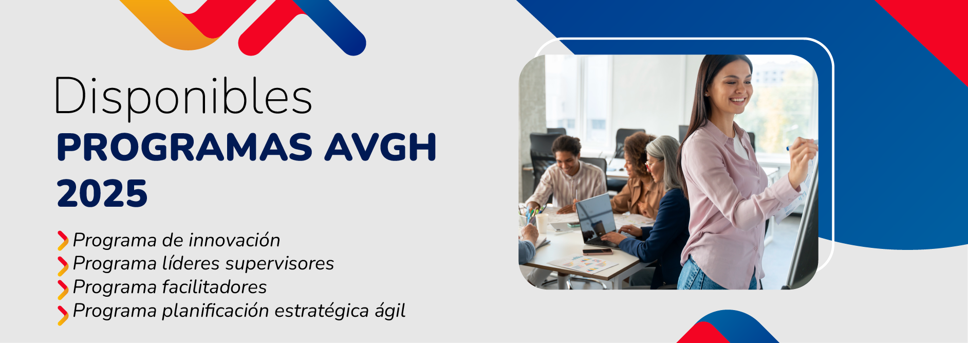 PROGRAMAS AVGH: SUPERVISIÓN Y LIDERAZGO, INNOVACIÓN RRHH, FACILITADORES