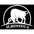 Imagen del contacto